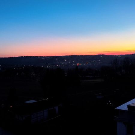 Gaeste- Und Ferienwohnung Glaeser ツウィッカウ エクステリア 写真