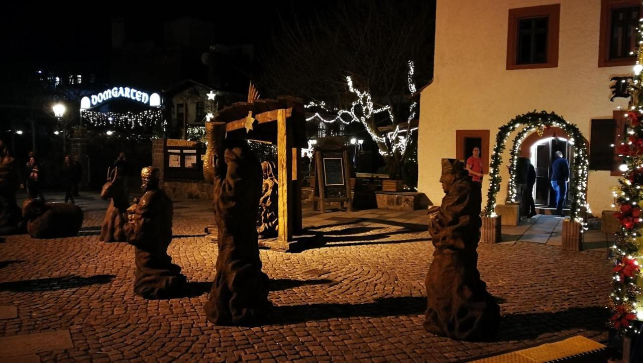 Gaeste- Und Ferienwohnung Glaeser ツウィッカウ エクステリア 写真