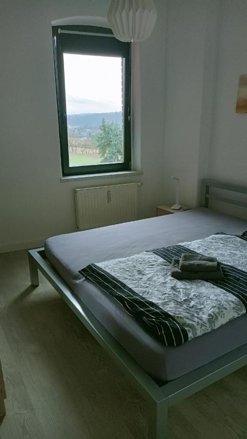 Gaeste- Und Ferienwohnung Glaeser ツウィッカウ エクステリア 写真